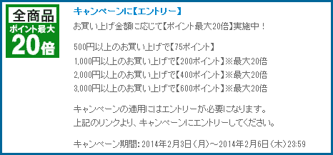 honto_004
